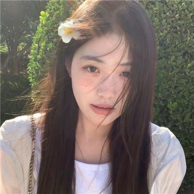 迷雾森林海报